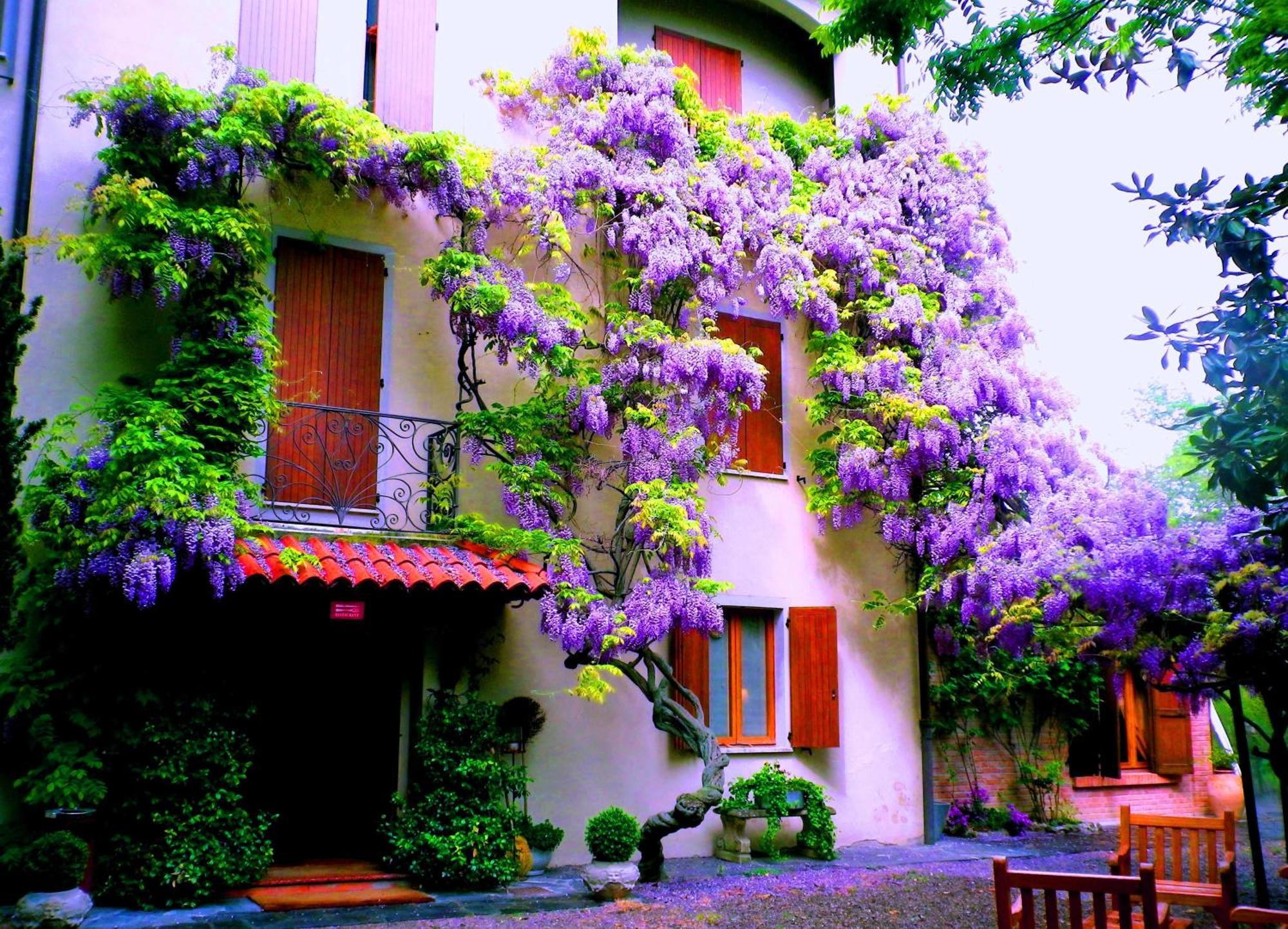 Le Querce Hotel Salsomaggiore Terme Dış mekan fotoğraf